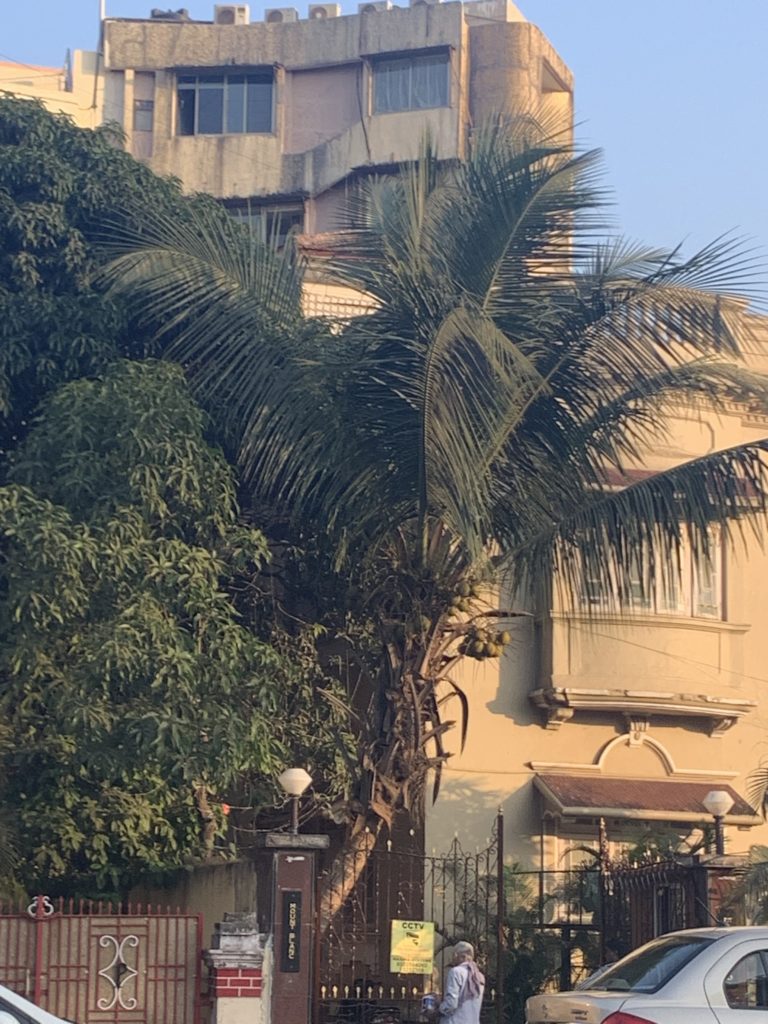 Sushant shifted in Bandra flat 6 months ago, was to reside here ...