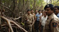 In a swift response to legislative concerns and High Court directives, the Maharashtra government has constituted a high-level committee to investigate unauthorized constructions in the ecologically sensitive mangrove buffer zone of Majiwade, Thane. The move addresses violations of landmark judicial orders aimed at protecting vital coastal ecosystems.