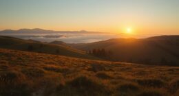 In a scathing reminder of bureaucratic lethargy, the Bombay High Court has held that Pune Municipal Corporation lost a reserved playground in Karvenagar to a housing society because it failed to acquire the land within the strict timeline mandated under Section 127 of the MRTP Act