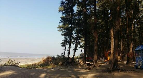 The Maharashtra government has set up a high-level committee to define survey and boundary demarcation norms for Koliwadas across five Konkan districts, addressing long-standing gaps in coastal land records and planning clarity.