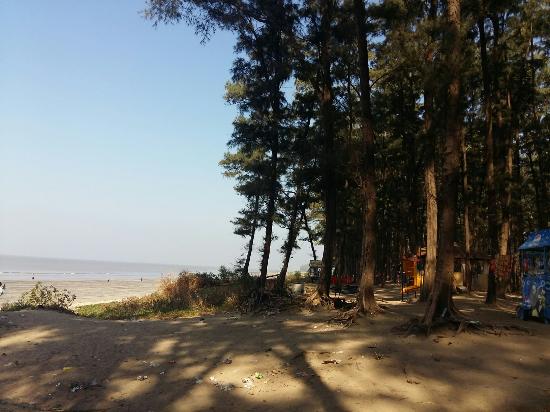 The Maharashtra government has set up a high-level committee to define survey and boundary demarcation norms for Koliwadas across five Konkan districts, addressing long-standing gaps in coastal land records and planning clarity.