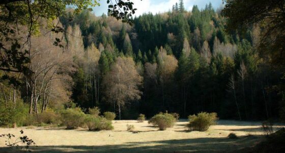 Maharashtra forms a committee to examine private forest entries in land records before affected landowners approach court.